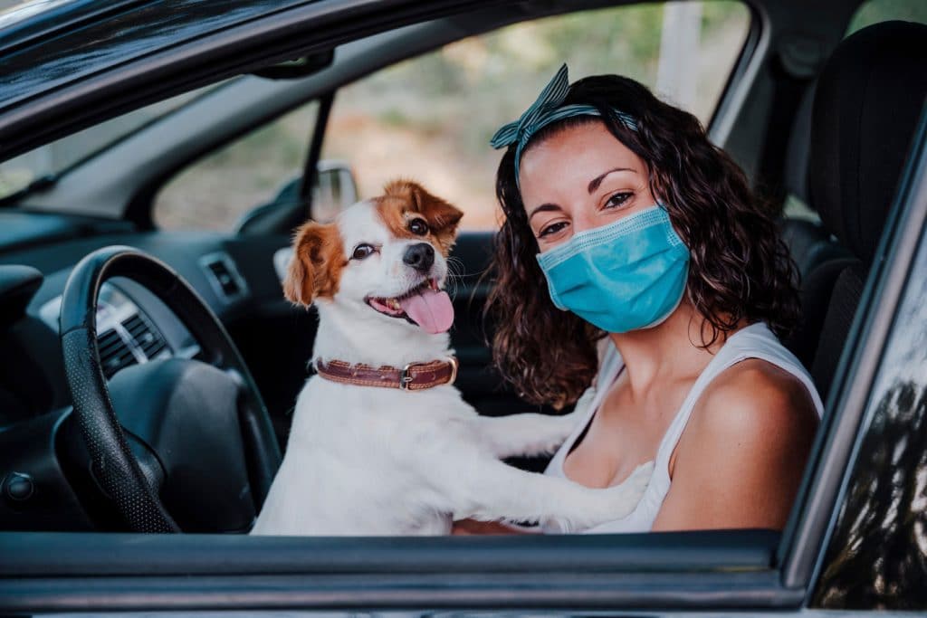 6 Steps You Should Follow to Carry Your Pet in The Car 1 6 Steps You Should Follow to Carry Your Pet in The Car